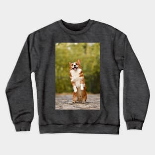 The happy dog Crewneck Sweatshirt